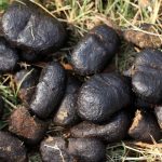 Knock, Knock, Who’s There?