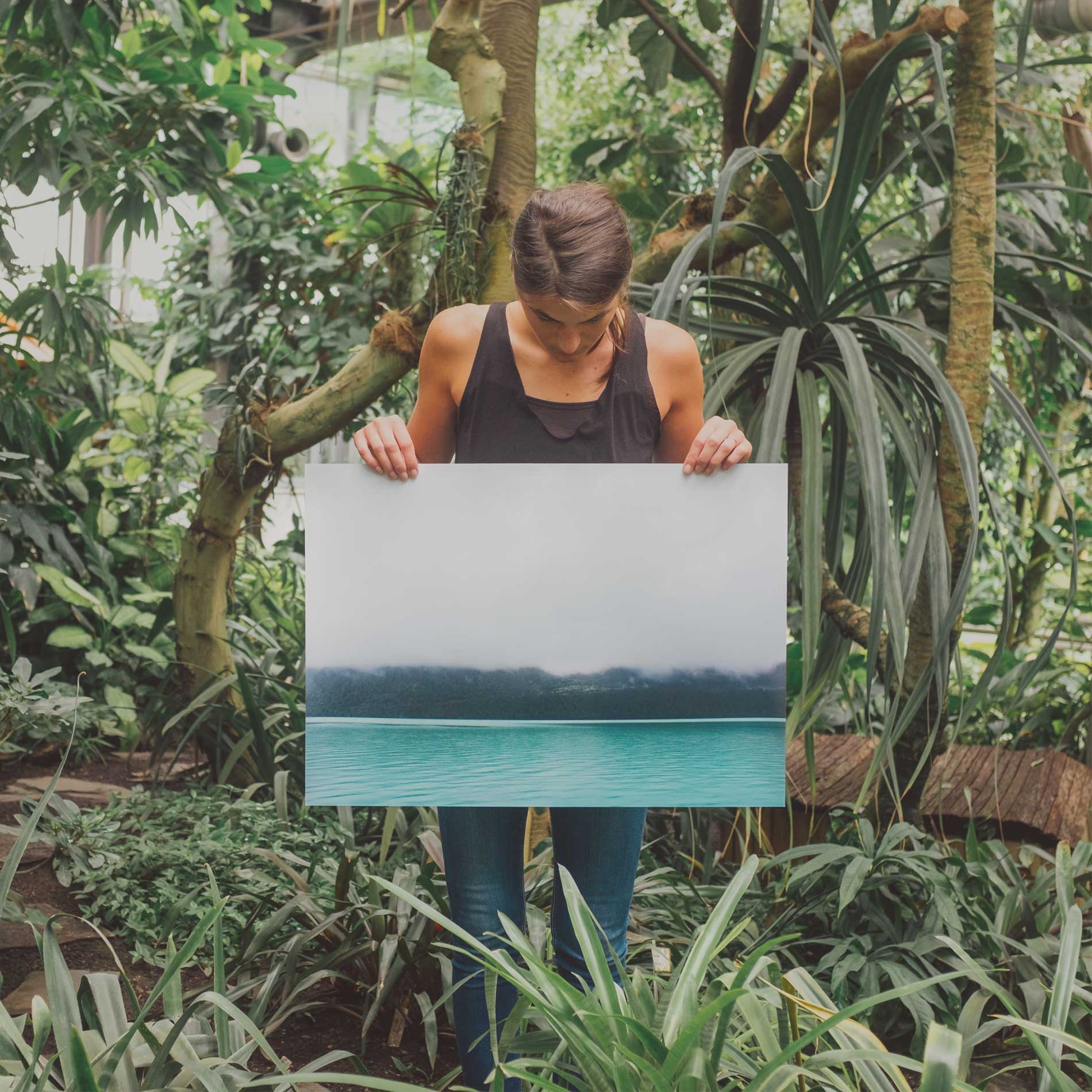 Paint a Picture