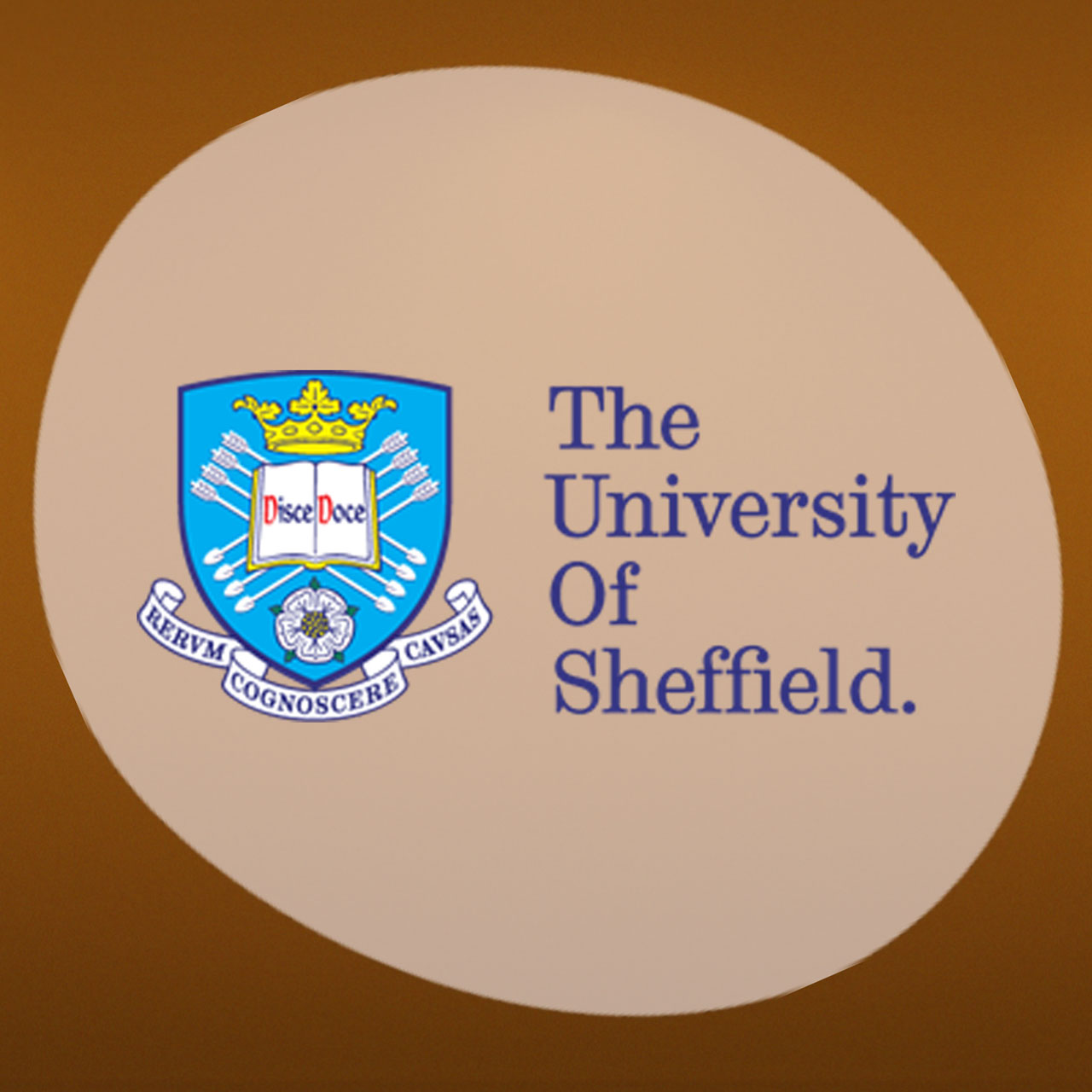 Our University Partner