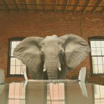 Elephant in the room